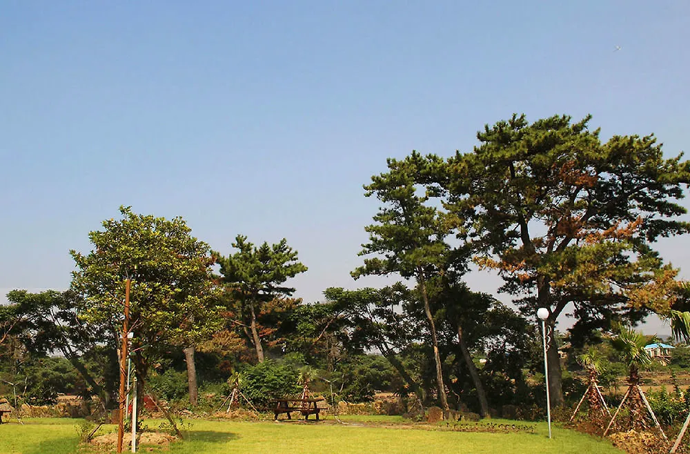 Flama Jeju Pension